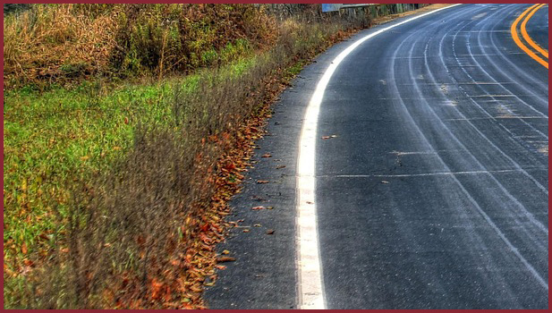 Photo of roadside vegetation